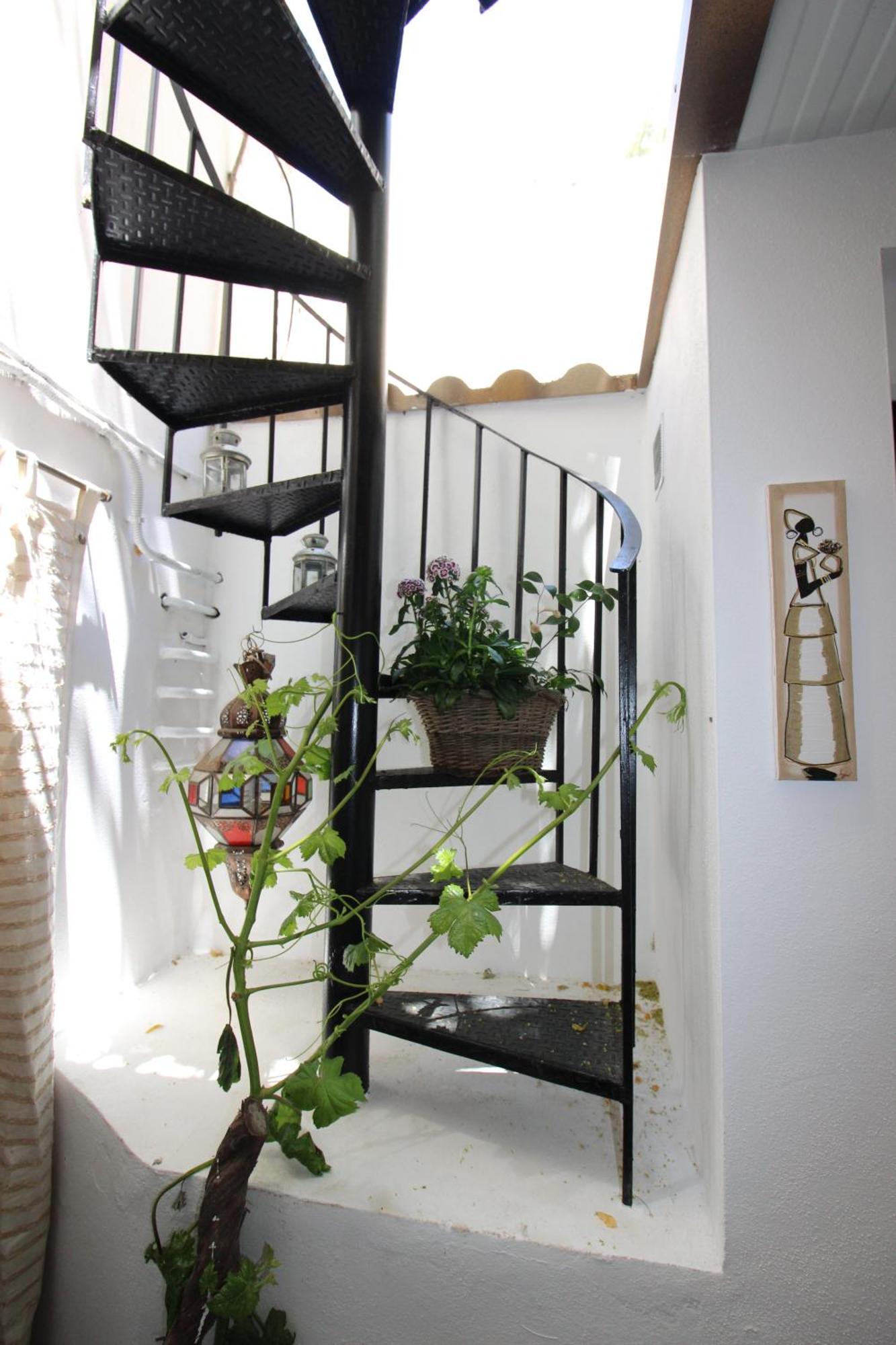 Hostal Las Acacias 马拉加 外观 照片