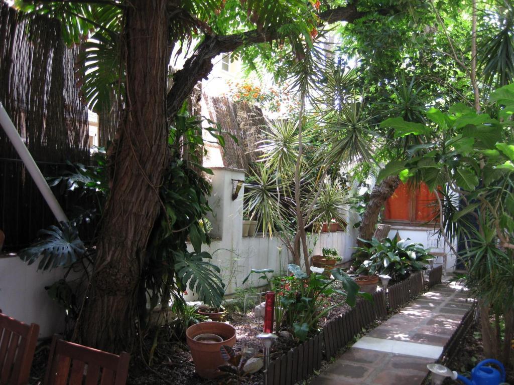 Hostal Las Acacias 马拉加 外观 照片