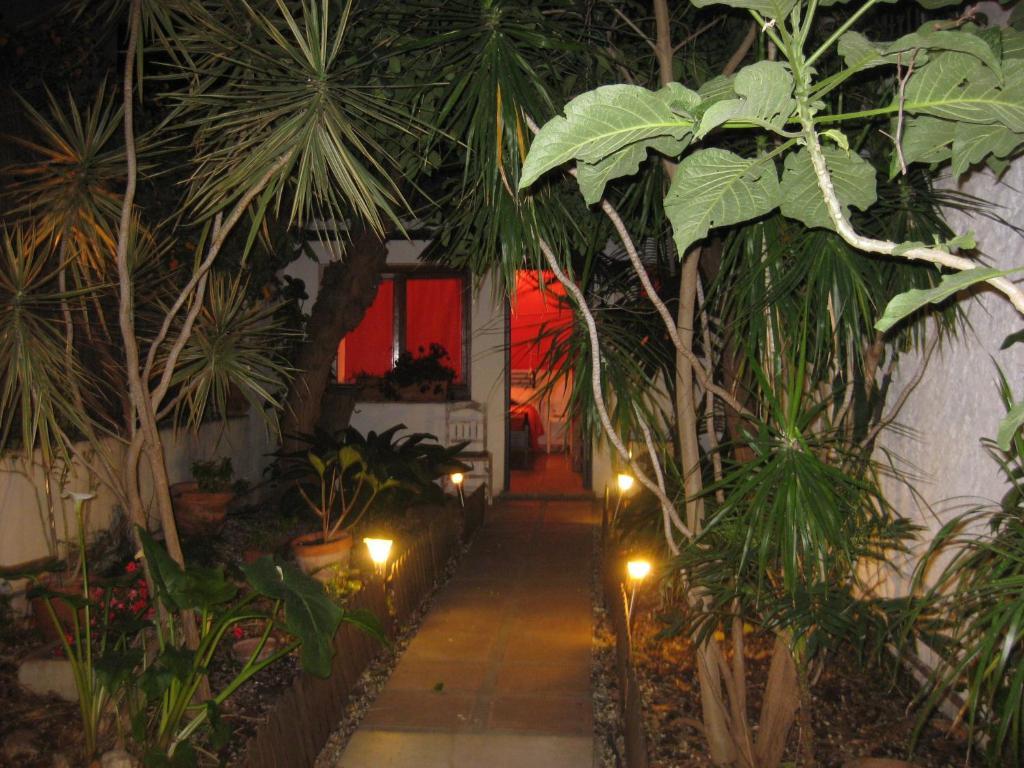 Hostal Las Acacias 马拉加 外观 照片